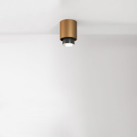 CLAQUE F43 CEILING 10 FIX - bronze