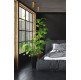 LOLA WALL 929.45 - brass oxidized - coffee