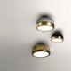 Molly Wall Ceiling .73 - brushed brass - sand black